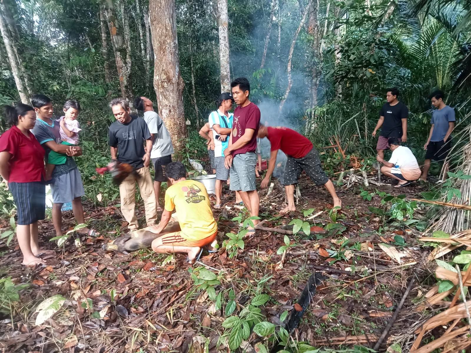 FB_IMG_1754467283818