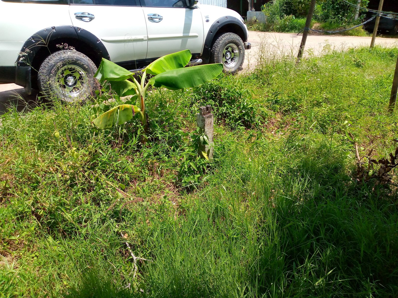 IMG_20251019_123249_267